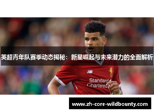 英超青年队赛季动态揭秘：新星崛起与未来潜力的全面解析