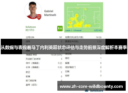 从数据与表现看马丁内利英超状态评估与走势前景深度解析本赛季