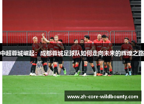 中超蓉城崛起：成都蓉城足球队如何走向未来的辉煌之路