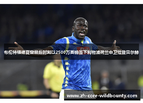 布伦特福德夏窗最后时刻以2500万英镑签下利物浦荷兰中卫范登贝尔赫